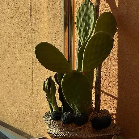 With Views Of Sea And Mountains Apartmán